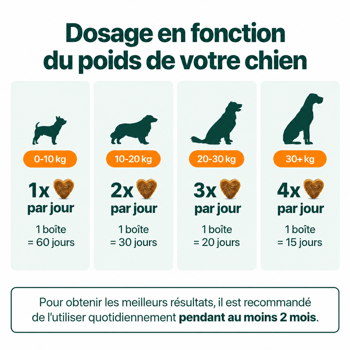 Routine quotidienne complète pour les démangeaisons, le léchage des pattes et les allergies