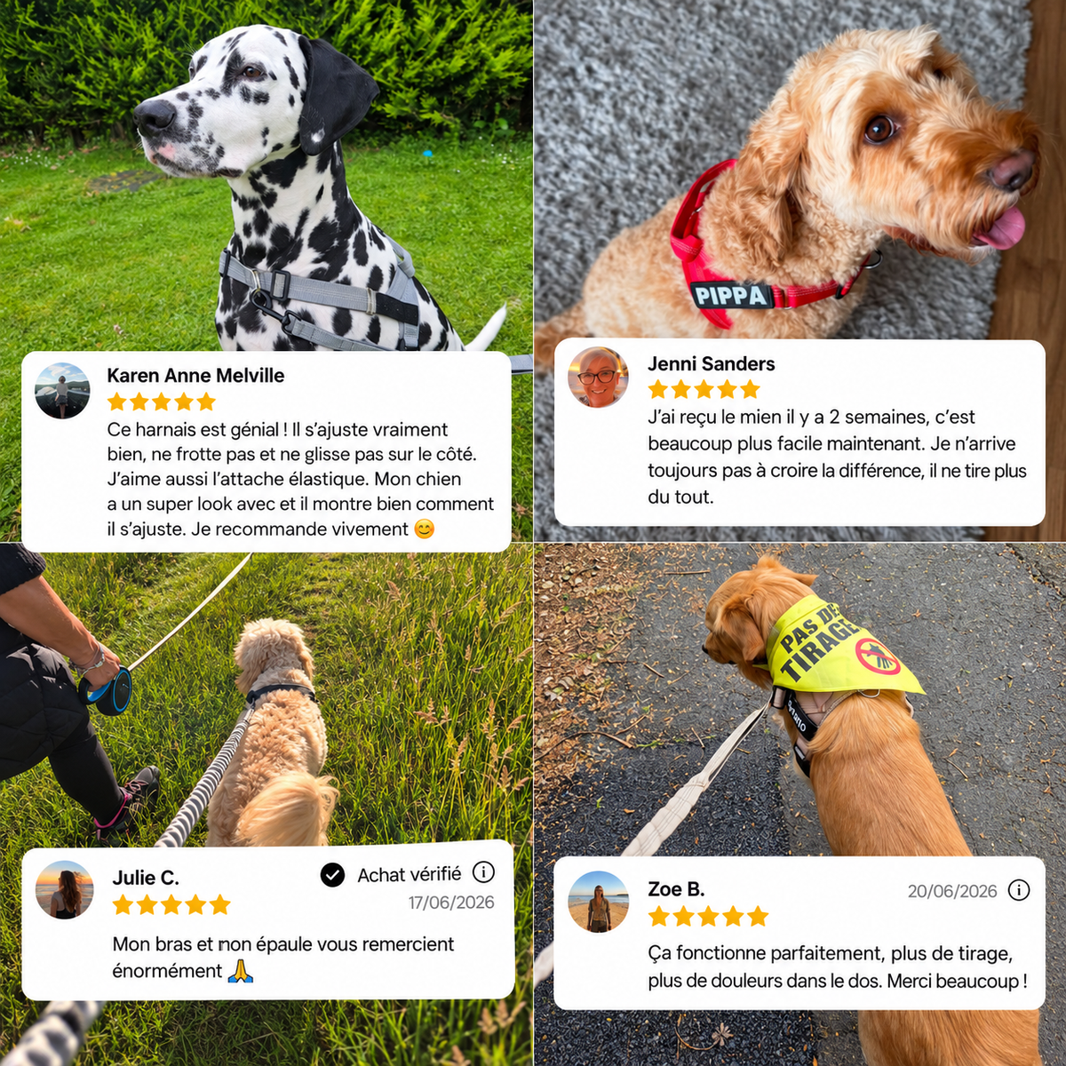 Harnais anti-traction pour chien PilyaPets
