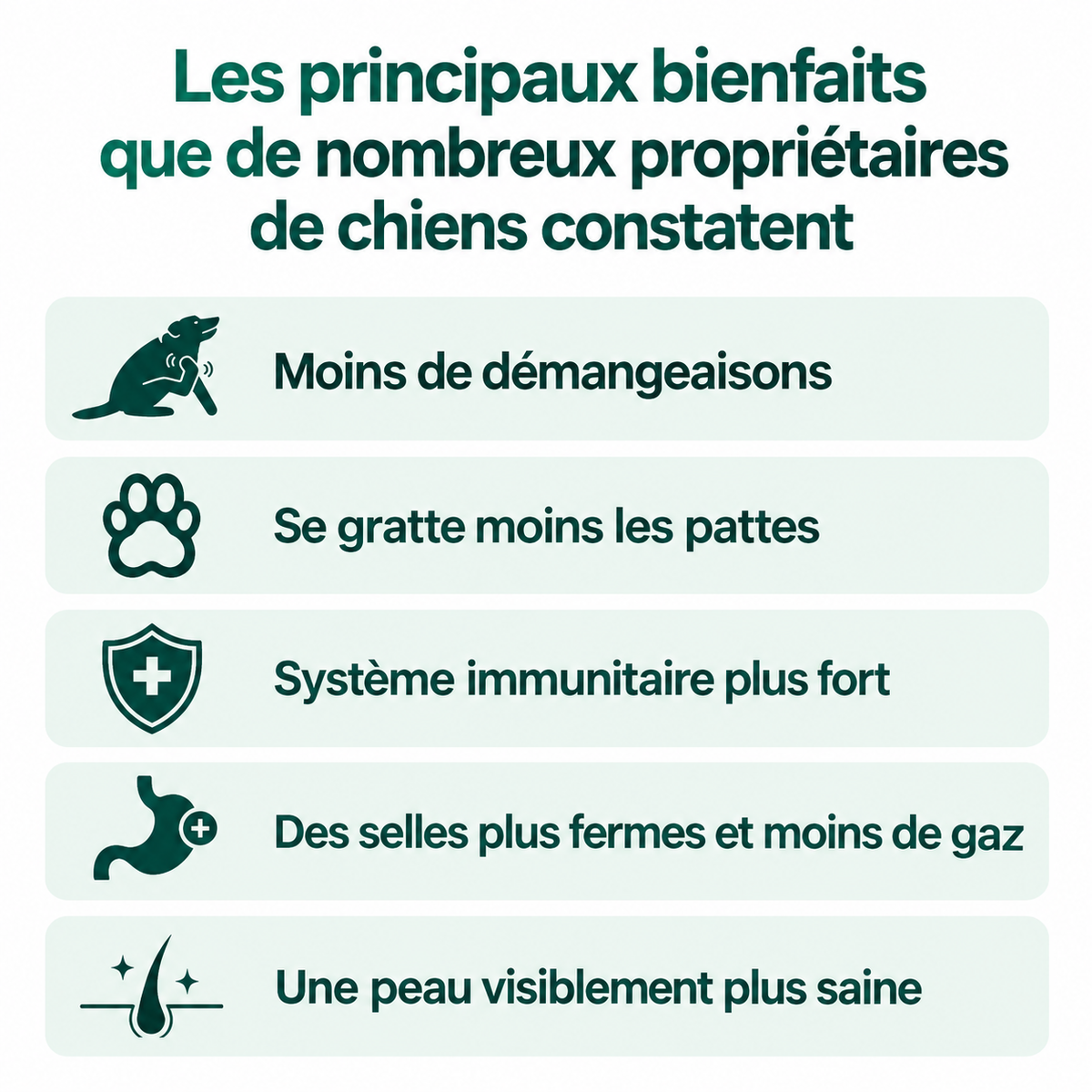 Routine quotidienne complète pour les démangeaisons, le léchage des pattes et les allergies