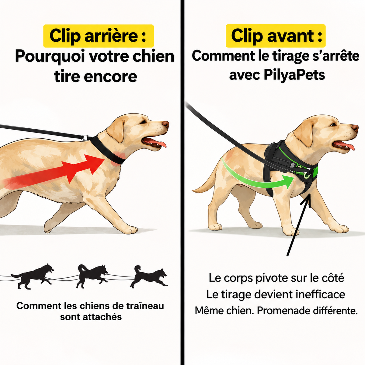 Harnais anti-traction pour chien PilyaPets