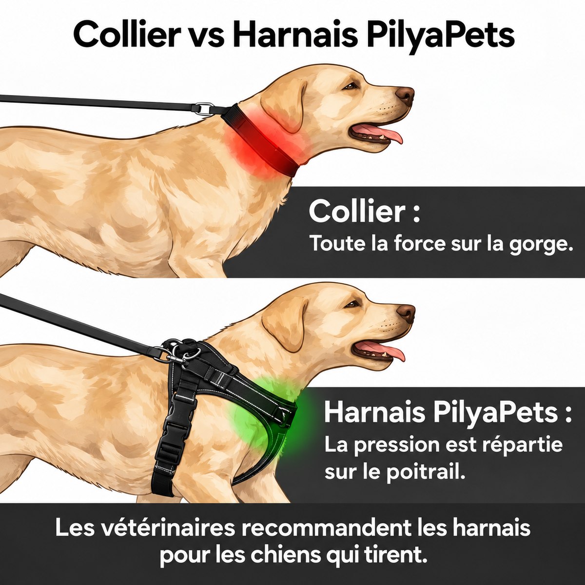 Harnais anti-traction pour chien PilyaPets