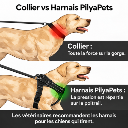 Harnais anti-traction pour chien PilyaPets