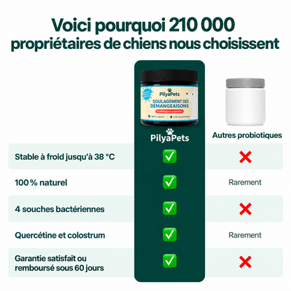 Routine quotidienne complète pour les démangeaisons, le léchage des pattes et les allergies