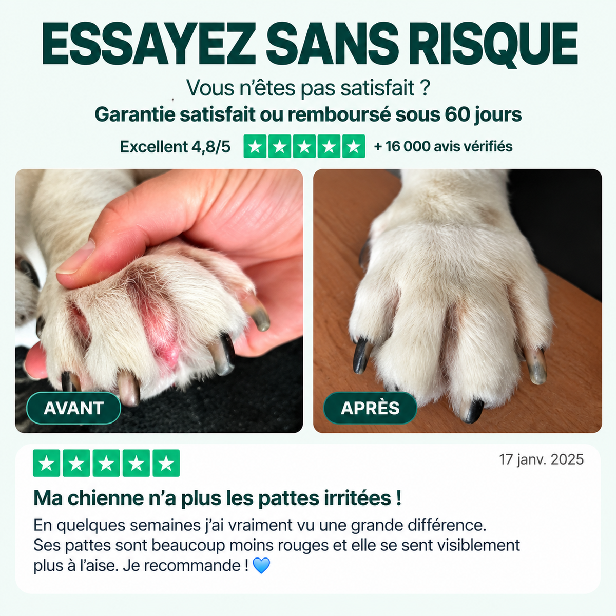 Routine quotidienne complète pour les démangeaisons, le léchage des pattes et les allergies