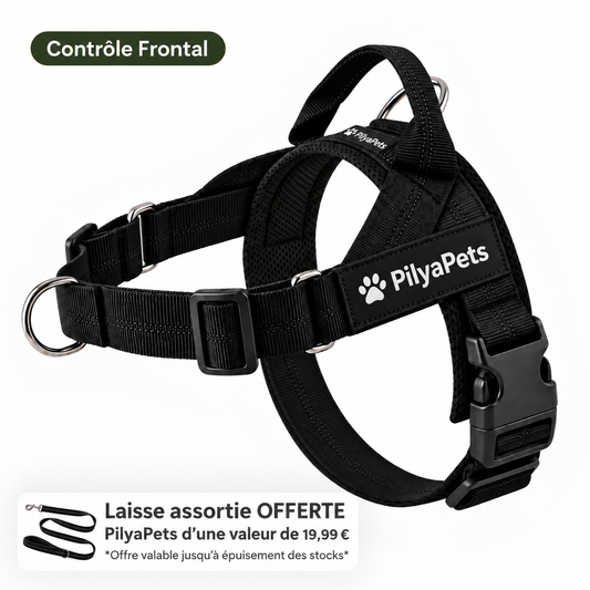 Harnais anti-traction pour chien PilyaPets