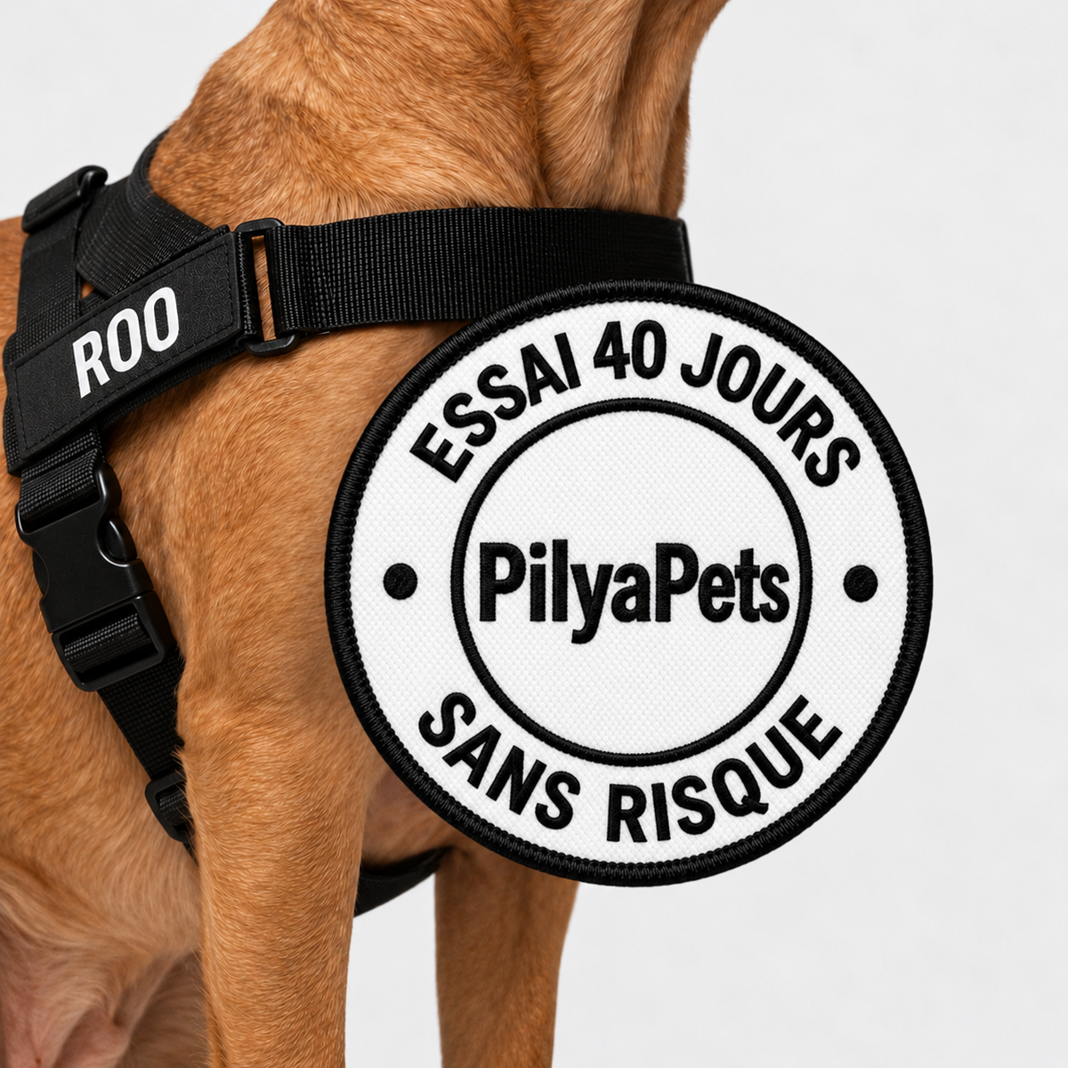 Harnais anti-traction pour chien PilyaPets