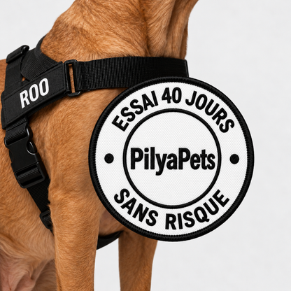 Harnais anti-traction pour chien PilyaPets
