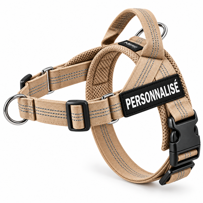 Harnais anti-traction pour chien PilyaPets