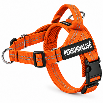 Harnais anti-traction pour chien PilyaPets