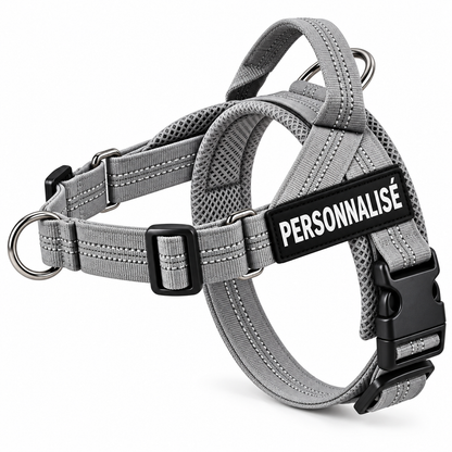 Harnais anti-traction pour chien PilyaPets