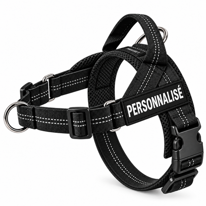 Harnais anti-traction pour chien PilyaPets
