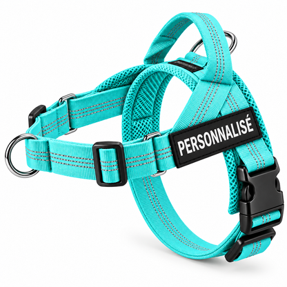 Harnais anti-traction pour chien PilyaPets