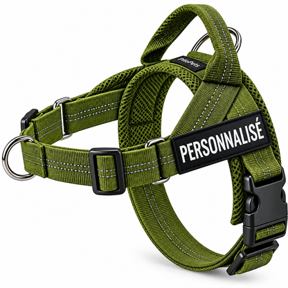 Harnais anti-traction pour chien PilyaPets