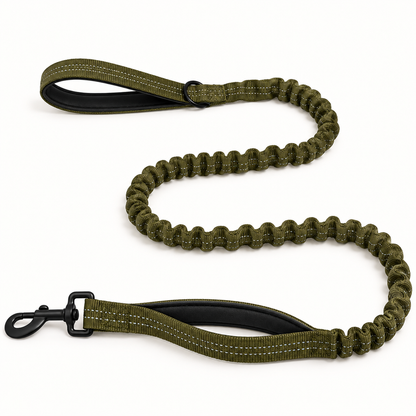 Laisse élastique pour chien PilyaPets