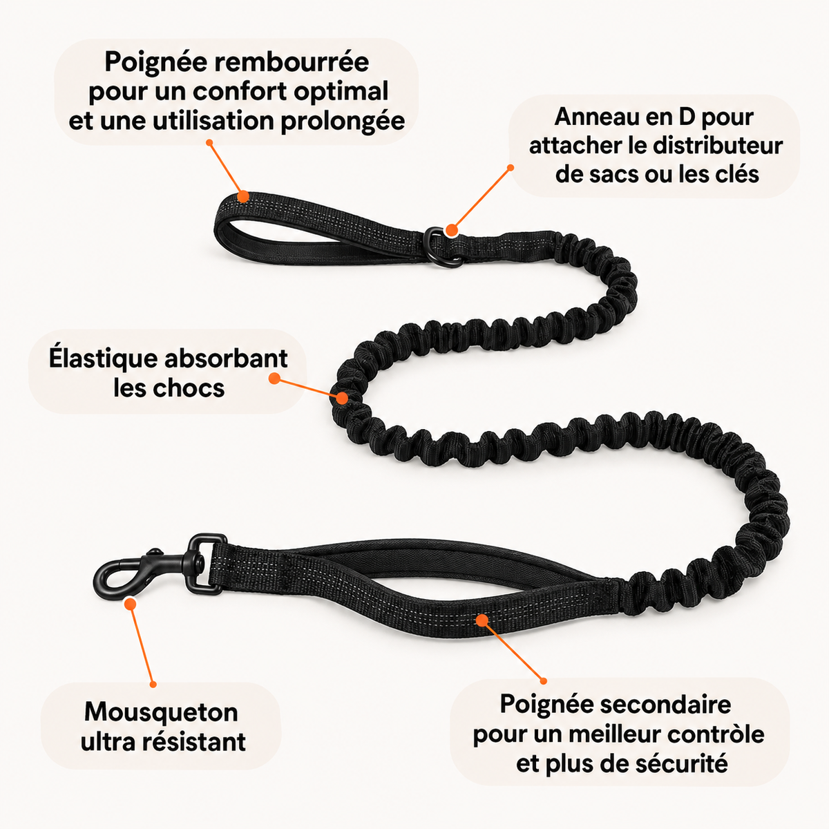 Laisse élastique pour chien PilyaPets
