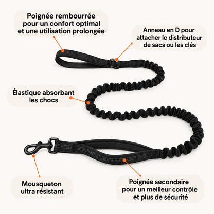Laisse élastique pour chien PilyaPets