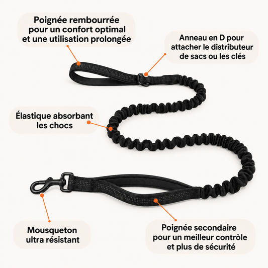 Laisse élastique pour chien PilyaPets