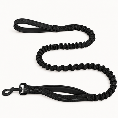 Laisse élastique pour chien PilyaPets