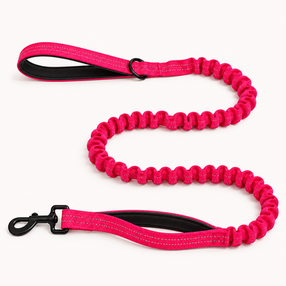 Laisse élastique pour chien PilyaPets