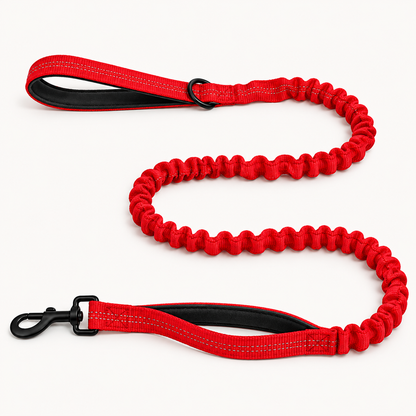 Laisse élastique pour chien PilyaPets